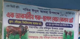 ইজারা না নিয়ে ৩টি পশুর হাট, সরকারি রাজস্ব ফাঁকি