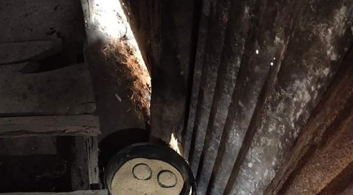 মুন্সীগঞ্জে মোল্লাকান্দিতে ককটেল উদ্ধার