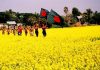 আজ ১৬ ডিসেম্বর, মহান বিজয় দিবস