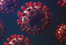 ‘জুনে কোভিডের তৃতীয় ঢেউ দেখতে পারে বাংলাদেশ’