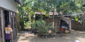 পদ্মার পানি বাড়ায় টঙ্গীবাড়ী ও লৌহজং-এর নিম্নাঞ্চল প্লাবিত