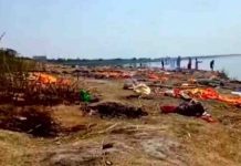 পানিতে ভাসছে সারি সারি লাশ, ছিঁড়ে খাচ্ছে কুকুর