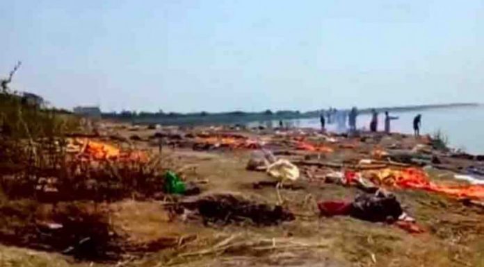 পানিতে ভাসছে সারি সারি লাশ, ছিঁড়ে খাচ্ছে কুকুর
