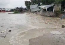 পদ্মা সেতু রক্ষাবাঁধে আগ্রাসী ভাঙন, বিলীন হচ্ছে জাজিরার