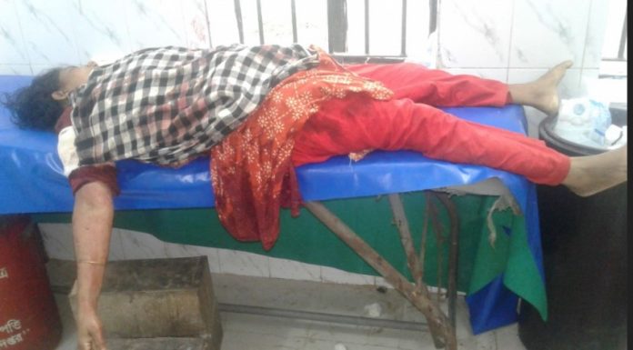 টঙ্গীবাড়ীতে ছেলের হাতে মা খুন