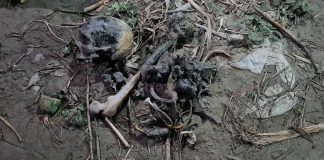 লৌহজংয়ে পদ্মাপাড় থেকে মানুষের কঙ্কাল উদ্ধার