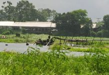 লৌহজংয়ে ফসলি জমির মাটি কেটে চলছে বেপরোয়া বাণিজ্য