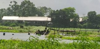 লৌহজংয়ে ফসলি জমির মাটি কেটে চলছে বেপরোয়া বাণিজ্য