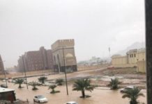 বন্যার পানিতে ভেসে গেছে মদিনার রাস্তা