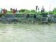 উত্তাল পদ্মায় ভাঙছে লৌহজং -টঙ্গিবাড়ী উপজেলার গ্রাম