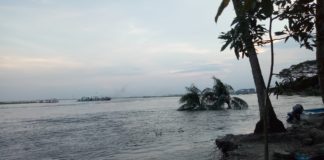 লৌহজং এর খড়িয়া গ্রামে পদ্মার নদী ভাঙ্গন পরিদর্শনে জেলা প্রশাসক