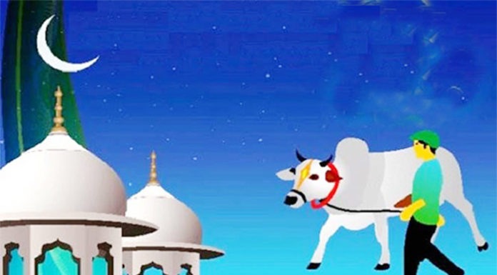 কুরবানীর শিক্ষা,গুরুত্ব ও তাৎপর্য