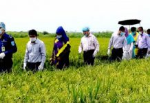 আড়িয়ল বিলের পাকা ধানের জমি পরিদর্শন করলেন জেলা প্রশাসক মোঃ মনিরুজ্জামান তালুকদার