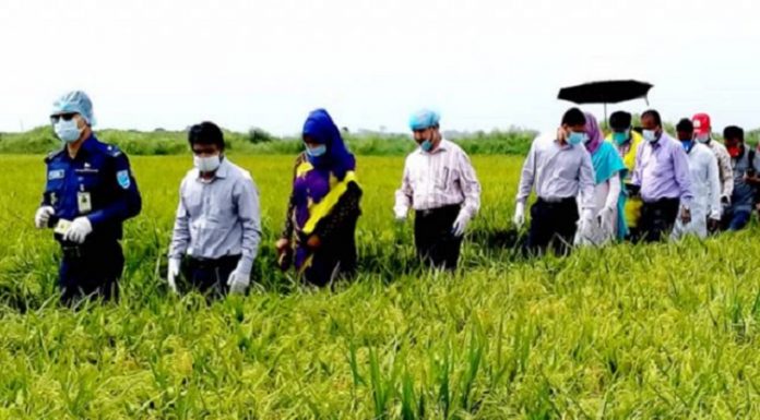 আড়িয়ল বিলের পাকা ধানের জমি পরিদর্শন করলেন জেলা প্রশাসক মোঃ মনিরুজ্জামান তালুকদার