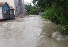 লৌহজংয়ে বন্যার চরম অবনতি সবকটি ইউনিয়ন প্লাবিত, ১৫ হাজার পরিবার পানিবন্দী