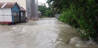 লৌহজংয়ে বন্যার চরম অবনতি সবকটি ইউনিয়ন প্লাবিত, ১৫ হাজার পরিবার পানিবন্দী