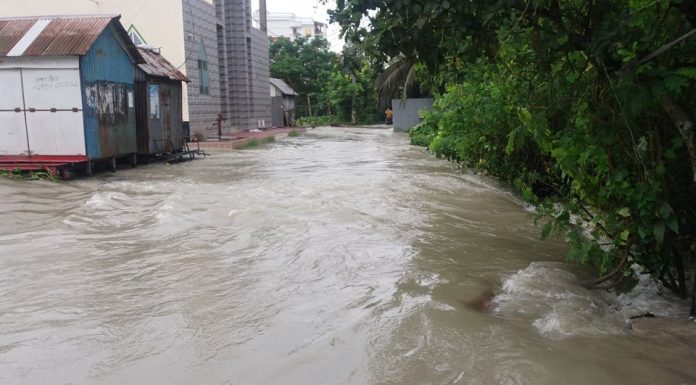 লৌহজংয়ে বন্যার চরম অবনতি সবকটি ইউনিয়ন প্লাবিত, ১৫ হাজার পরিবার পানিবন্দী