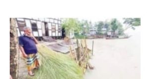 লৌহজংয়ে অর্ধশতাধিক বাড়ি ভাঙনের মুখে