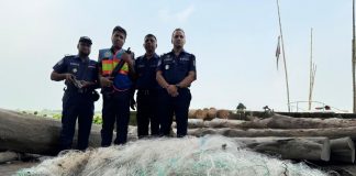লৌহজংয়ে মা ইলিশ ধরার অপরাধে ১৪ জেলের কারাদণ্ড