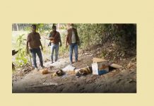 লৌহজংয়ে ঢাকা-মাওয়া এক্সপ্রেসওয়ের পাশে পলিথিনের ভেতর থেকে মানবদেহের মাথা ও খণ্ডিত অংশ পাওয়া গেছে