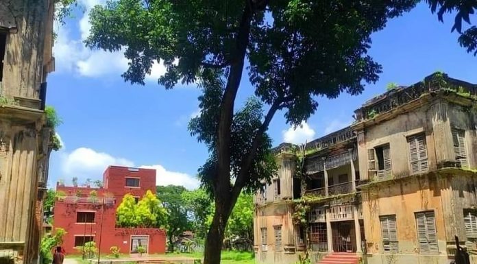 ঢাকার কাছে ডে ট্রিপের জন্য আদর্শ একটা জায়গা হতে পারে বিক্রমপুর জাদুঘর কমপ্লেক্স