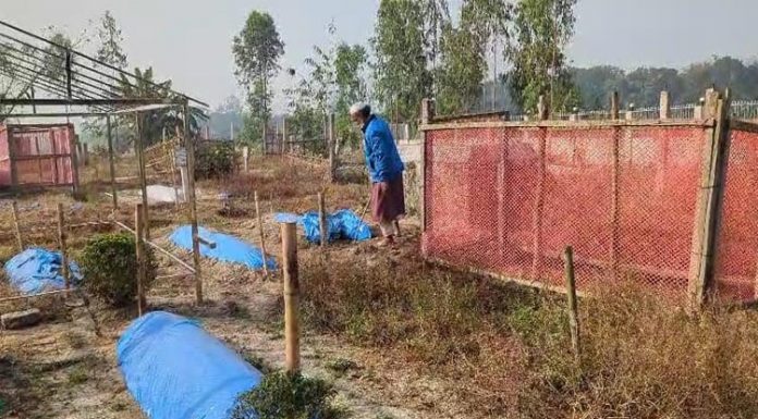 শ্রীনগরে বিভিন্ন কবরস্থান থেকে ২৮ টি কংকাল ও মাথার খুলি চুরি