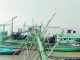 লৌহজংয়ে চলছে অবৈধ ড্রেজার বাণিজ্য