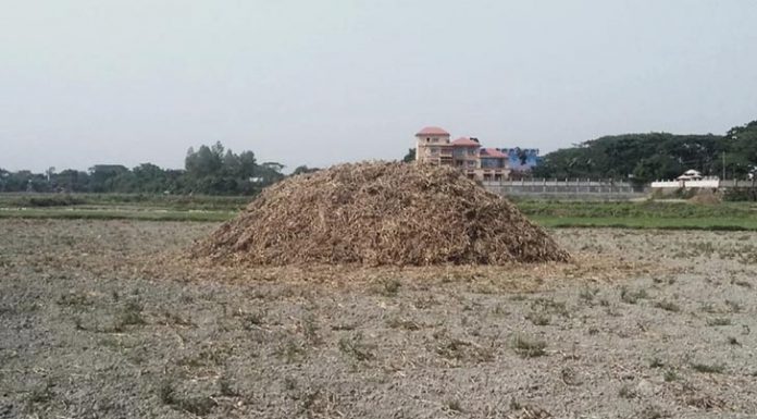 ‘আমগো অহন কি হইবো?’
