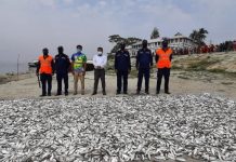 লৌহজংয়ে কোস্ট গার্ডের অভিযানে বিপুল পরিমান জাটকা ইলিশ জব্দ