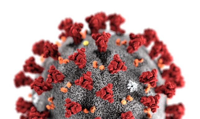 ফের ইতালিতে করোনার ধাক্কা, নতুন আক্রান্তদের বেশিরভাগ বাংলাদেশি