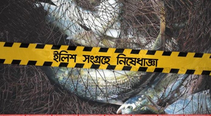 মা ইলিশ রক্ষার অভিযানে তিন দিনে ৯ কোটি টাকার কারেন্ট জাল জব্দ