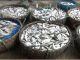 হাসাইল-দিঘিরপাড় আড়ৎ সহ বাড়ি বাড়ি বিক্রি হয় ঝাটকা