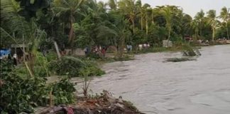 পদ্মার ভাঙ্গন তান্ডব শুরু !