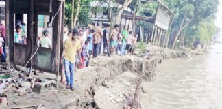 বিস্তীর্ণ জনপদ পদ্মায় বিলীন
