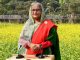 ধর্মকে রাজনীতির হাতিয়ার হিসেবে ব্যবহার না করার আহ্বান প্রধানমন্ত্রীর