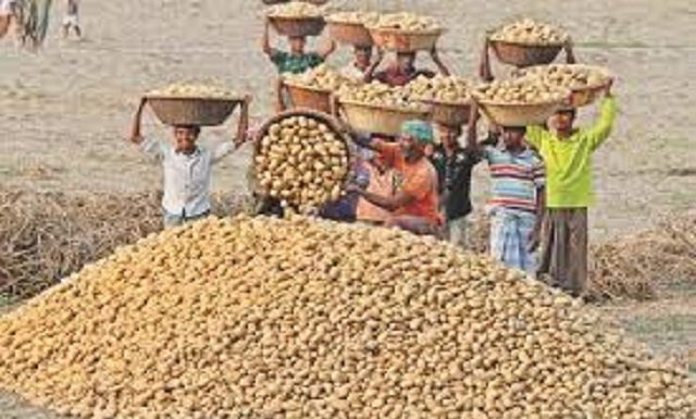 আলুর বাড়তি দাম নিয়ে মুন্সীগঞ্জে কোল্ডস্টোরেজ ও আড়তের মালিকদের দায়ী করছেন ক্রেতা ও খুচরা ব্যবসায়ীরা