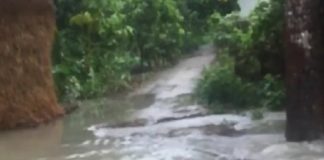 লৌহজংয়ে দক্ষিণ বেজগাও-গাওদিয়া বেরীবাঁধ বন্যার পানিতে ভেঙে যাওয়ার উপক্রম !