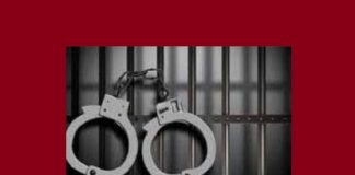 লৌহজংয়ে ১৪ জেলের এক মাসের কারাদণ্ড; জাল-ইলিশ জব্দ