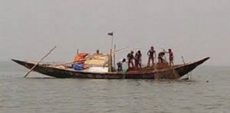 করোনার সুযোগ নিয়ে লৌহজংয়ে পদ্মা নদীতে অবাধে জাটকা নিধন
