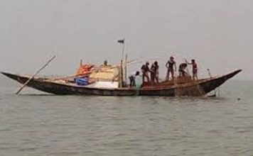 করোনার সুযোগ নিয়ে লৌহজংয়ে পদ্মা নদীতে অবাধে জাটকা নিধন