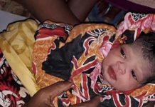 ‘বুলবুল’ আতঙ্কের ভিতর দিয়েই জন্ম নিলো “বুলবুলি”