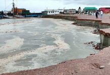 শিমুলিয়া ঘাটে পদ্মার ভাঙনে বিস্তীর্ণ এলাকা বিলীন