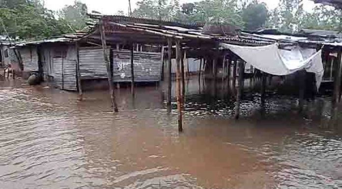 কাহারোল উপজেলা বন্যায় প্লাবিত