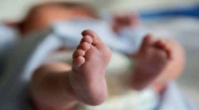 ঢাকা বিশ্ববিদ্যালয়ের ডাস্টবিনে নবজাতকের মরদেহ উদ্ধার