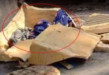 ঢাবি এলাকায় দুই নবজাতকের মরদেহ উদ্ধার
