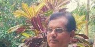 আইসোলেশনে থাকা দিনগুলো