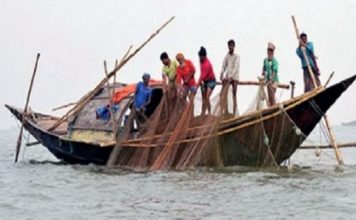 ইলিশ আহরণ শুরু; নিষেধাজ্ঞা শেষ হয়েছে