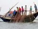 ইলিশ আহরণ শুরু; নিষেধাজ্ঞা শেষ হয়েছে