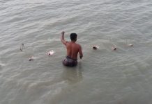 ৫০বছরের রেকর্ড লৌহজংয়ে পদ্মায় ধরা পড়ছে ঝাকেঝাকে পাঙাশ