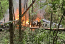 যুক্তরাষ্ট্রে প্লেন দুর্ঘটনায় ২ শিশুসহ নিহত ৫